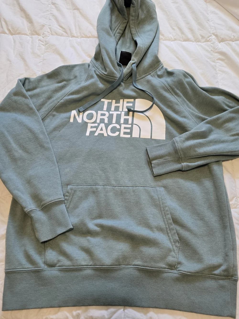 The North Face Men’s Sage Green Logo Hoodie0786